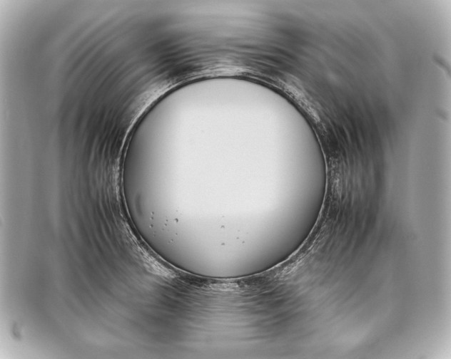 X0000098101186200804181416