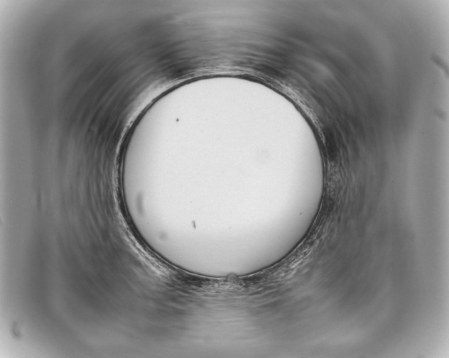 X0000098101187200804181416