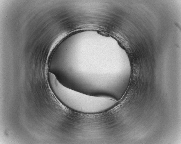 X0000098101188200804181416