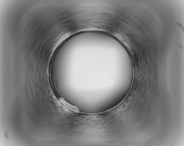X0000098101189200804181416
