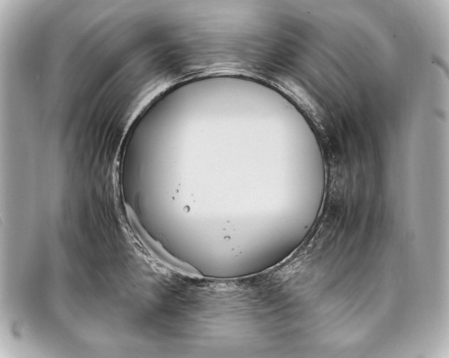X0000098101190200804181416
