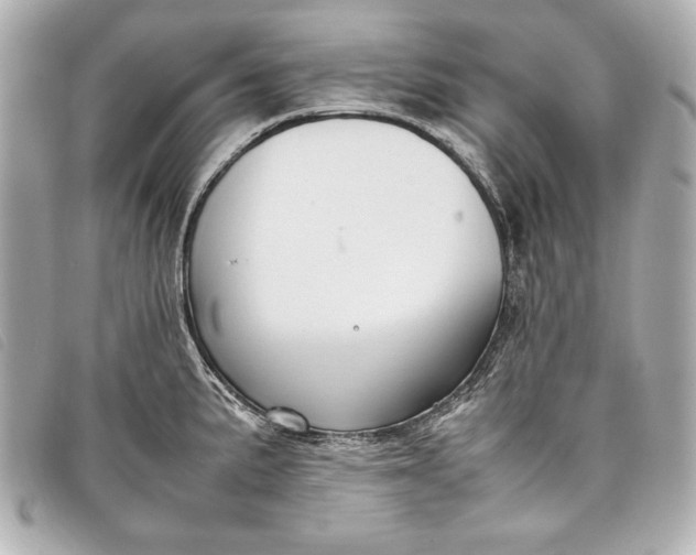 X0000098101191200804181416