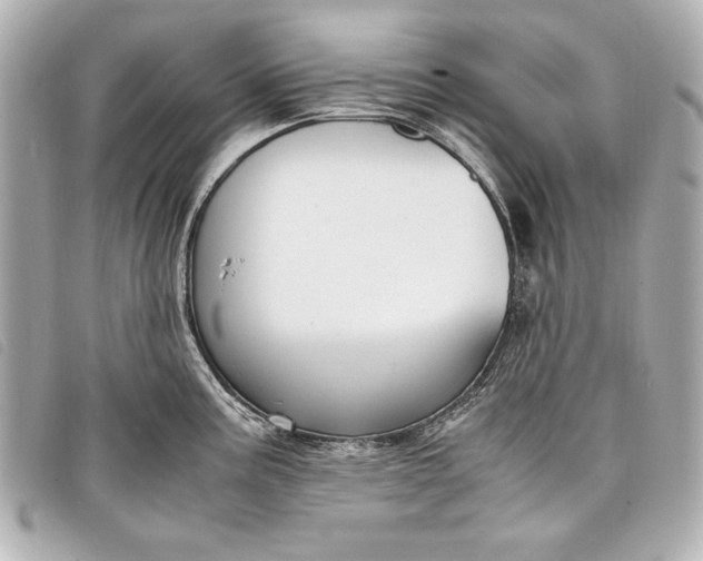 X0000098101195200804181416