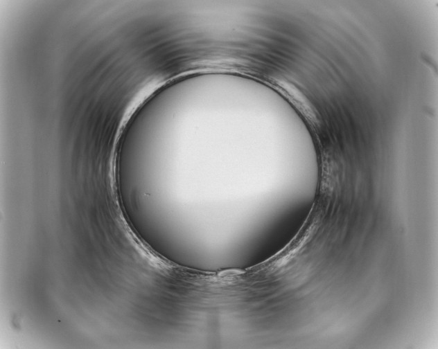 X0000098101196200804181416