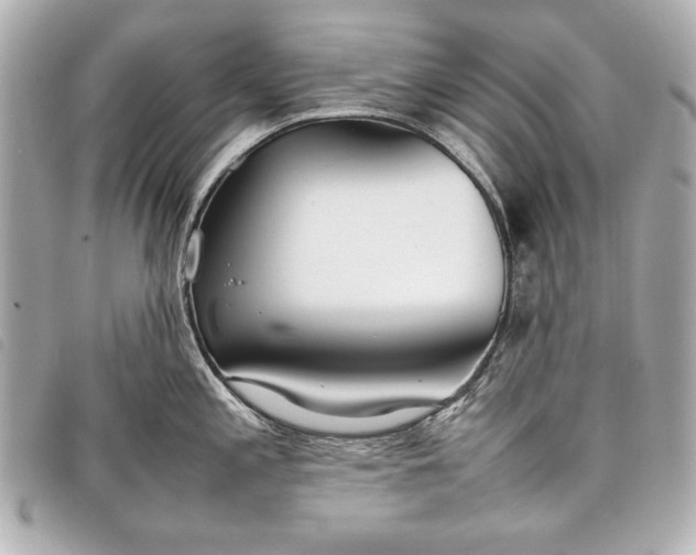 X0000098101197200804181416