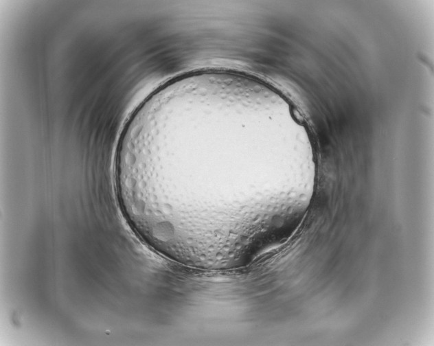 X0000098101199200804181416