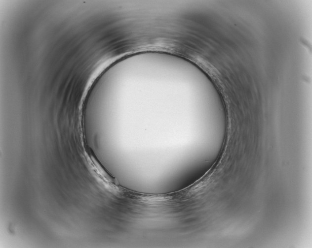 X0000098101200200804181416
