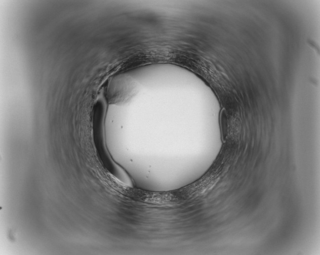 X0000098101201200804181415