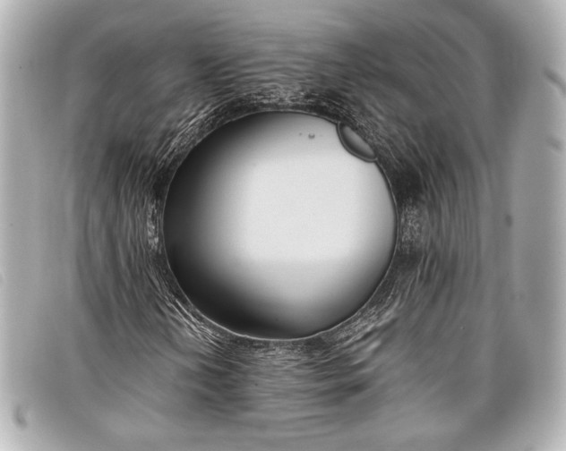 X0000098101202200804181415