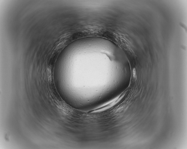 X0000098101203200804181415
