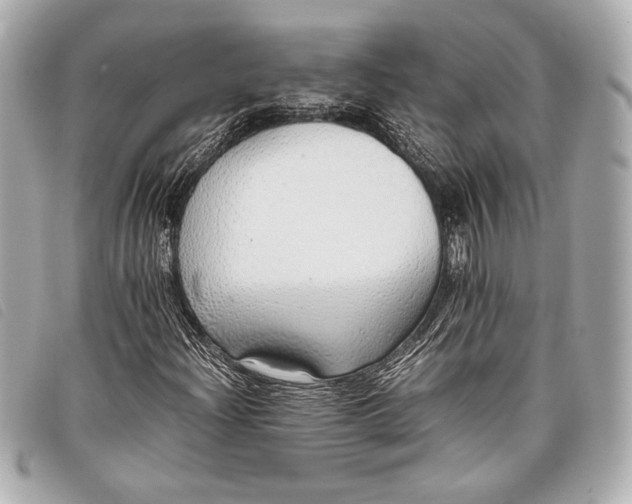 X0000098101204200804181415
