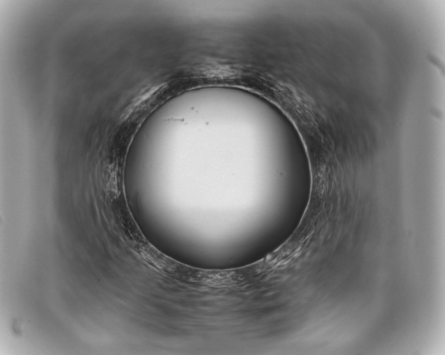 X0000098101205200804181415