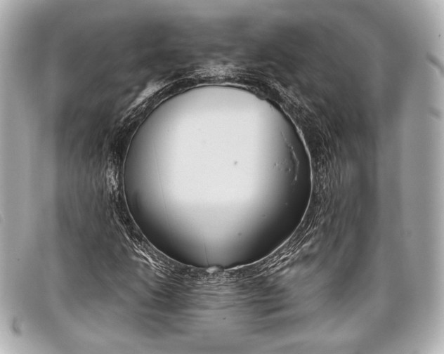 X0000098101206200804181415