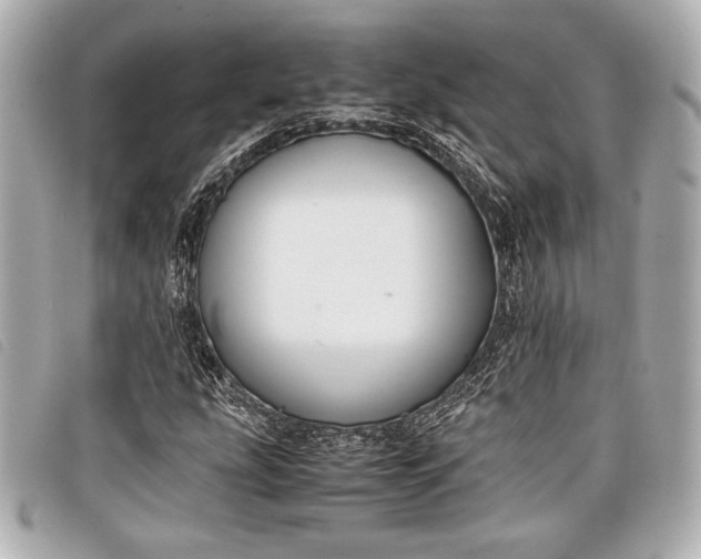 X0000098101207200804181415