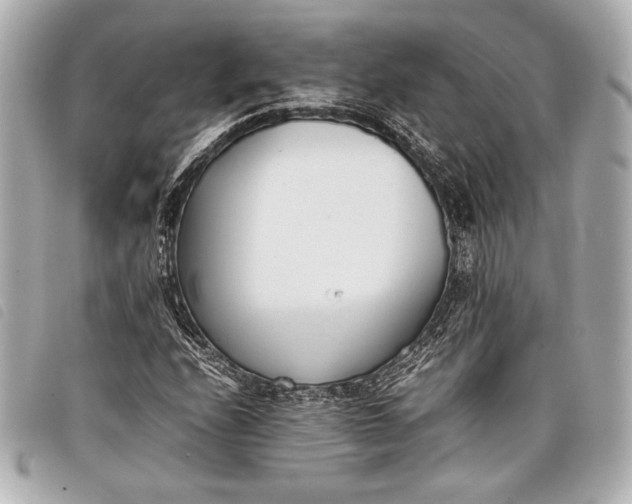 X0000098101208200804181415