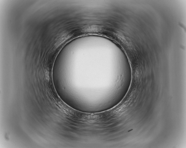 X0000098101209200804181415
