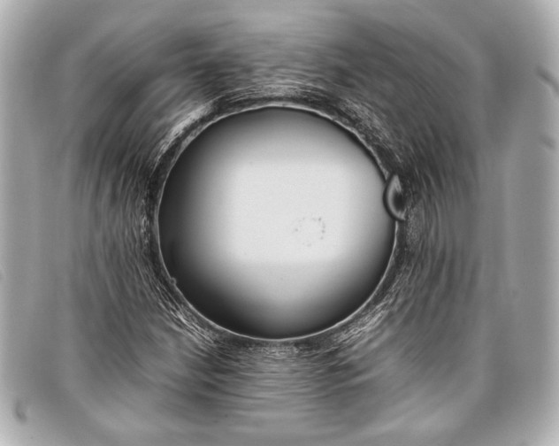X0000098101210200804181415