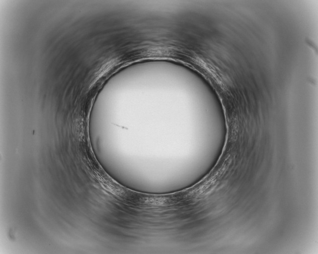 X0000098101211200804181415