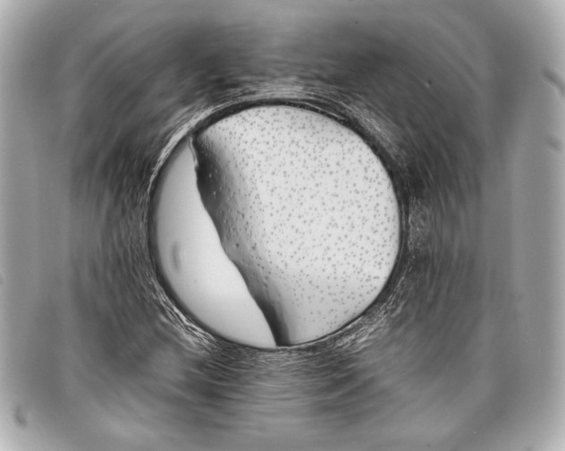 X0000098101212200804181415