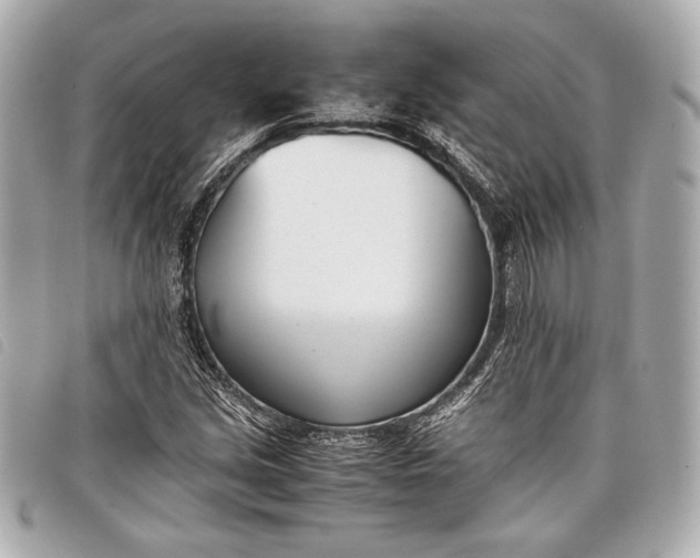 X0000098101213200804181415