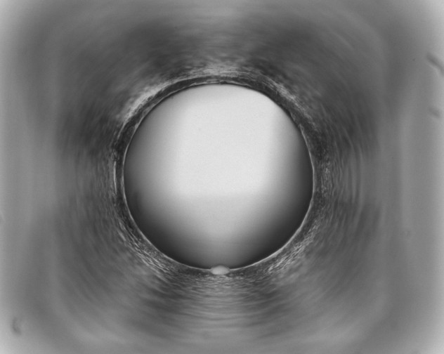 X0000098101214200804181415