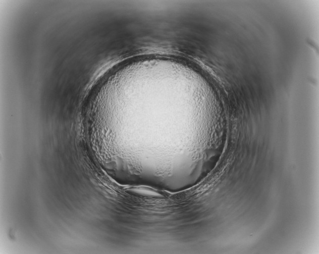 X0000098101215200804181415