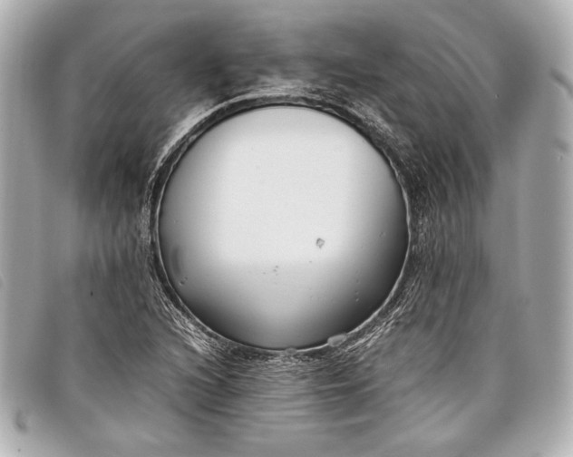 X0000098101216200804181415