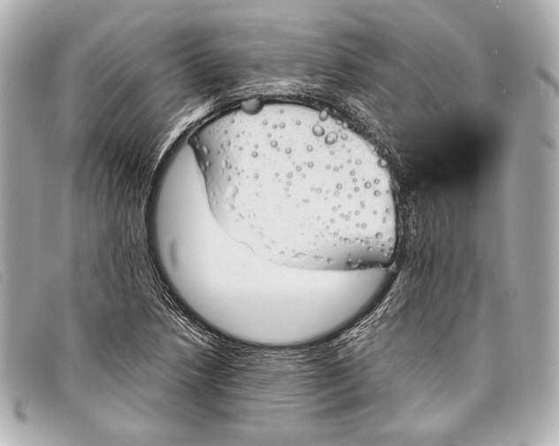 X0000098101218200804181415