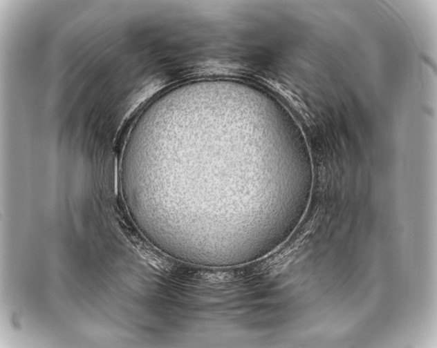 X0000098101219200804181415
