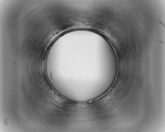 X0000098101220200804181415