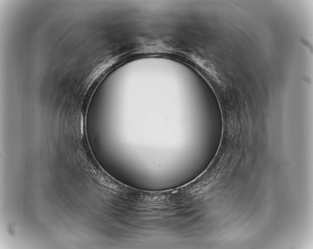 X0000098101221200804181415