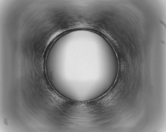X0000098101222200804181416