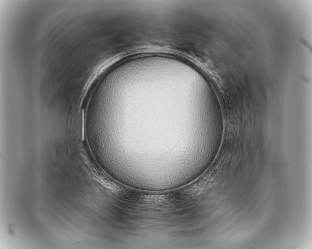 X0000098101223200804181416