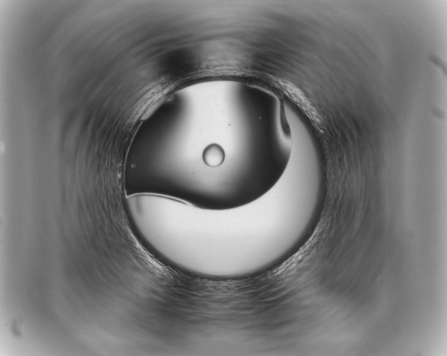 X0000098101225200804181416