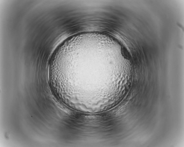 X0000098101227200804181416