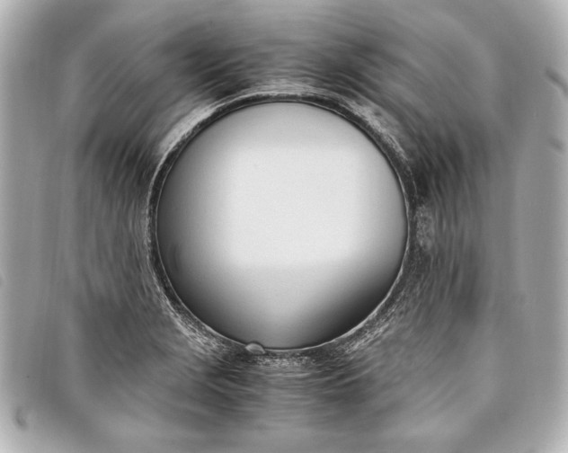 X0000098101229200804181416