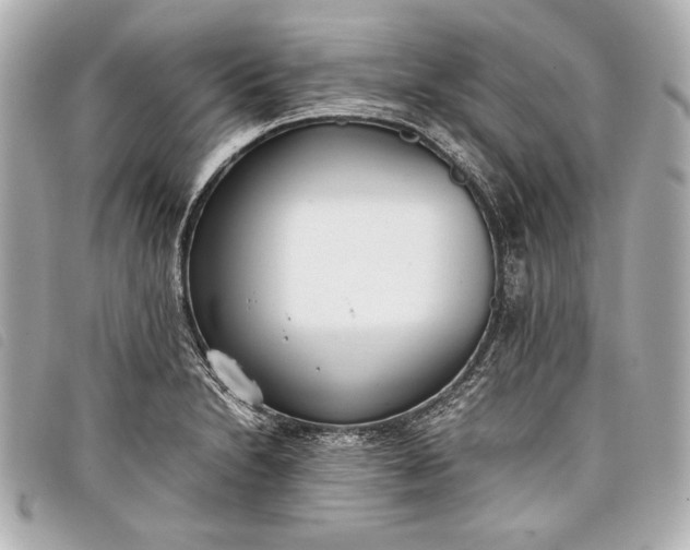 X0000098101230200804181416