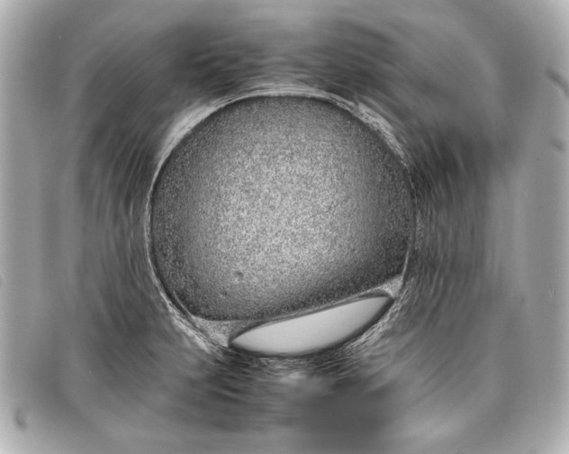 X0000098101231200804181416