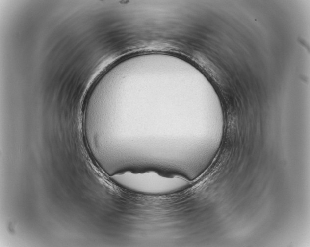 X0000098101232200804181416