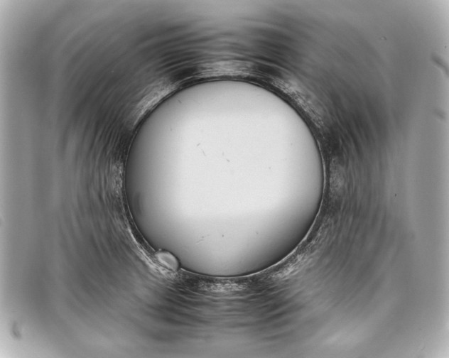 X0000098101233200804181416