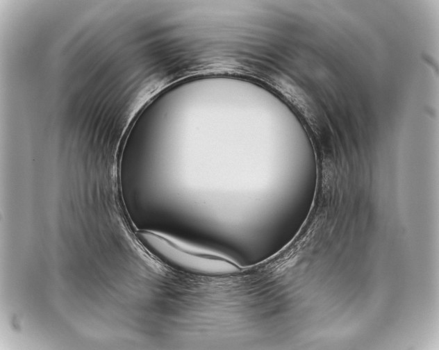 X0000098101234200804181416