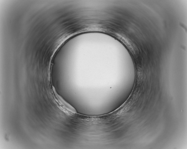 X0000098101236200804181416