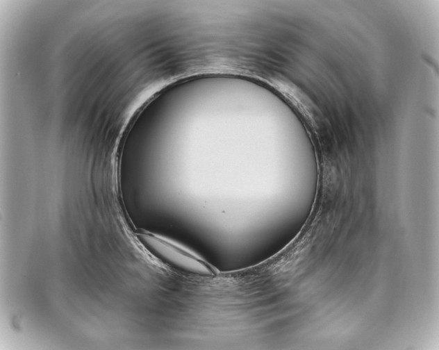 X0000098101238200804181416