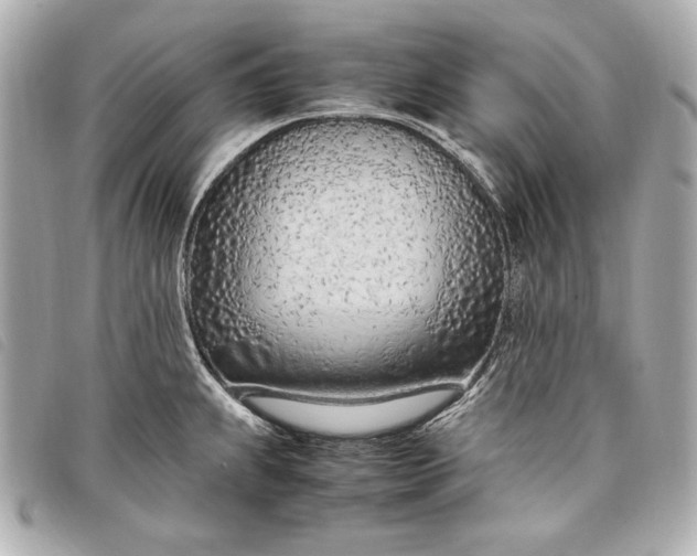 X0000098101239200804181416