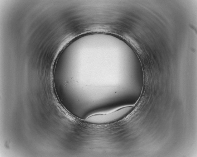 X0000098101240200804181416