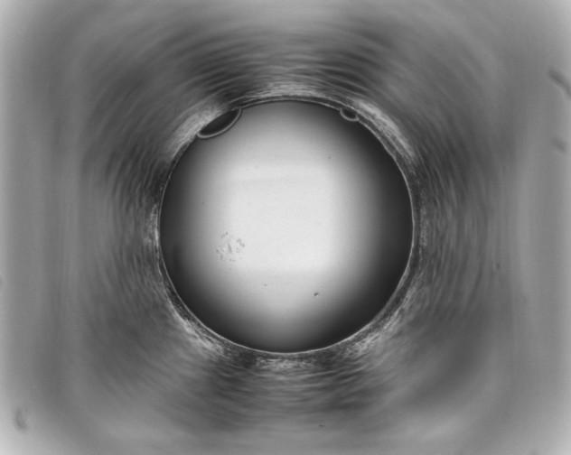 X0000098101241200804181416