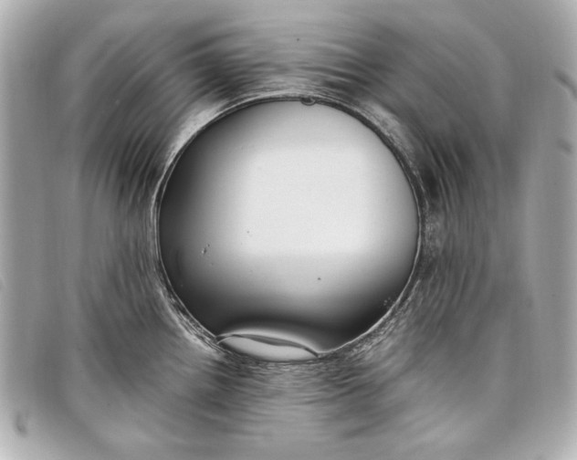 X0000098101242200804181416
