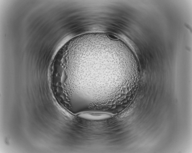 X0000098101243200804181416