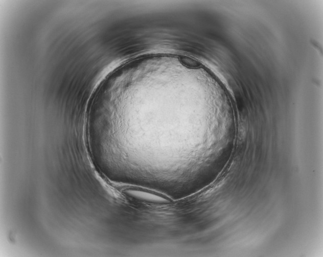 X0000098101245200804181416