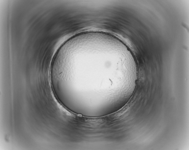 X0000098101247200804181416
